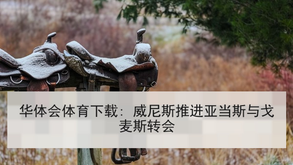 华体会体育下载: 威尼斯推进亚当斯与戈麦斯转会 华体会体育下载: 威尼斯推进亚当斯与戈麦斯转会