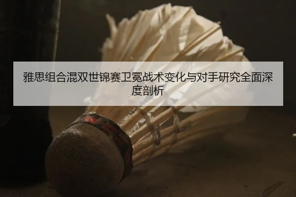 雅思组合混双世锦赛卫冕战术变化与对手研究全面深度剖析