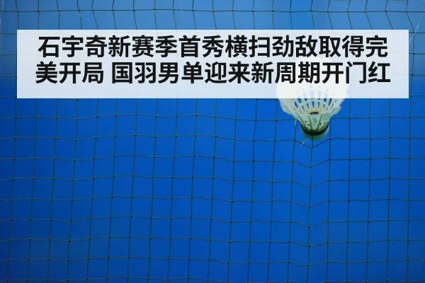 badminton net shot